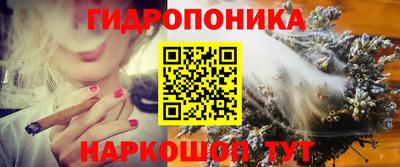 PSILOCYBIN Заводоуковск