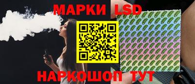 PSILOCYBIN Заводоуковск