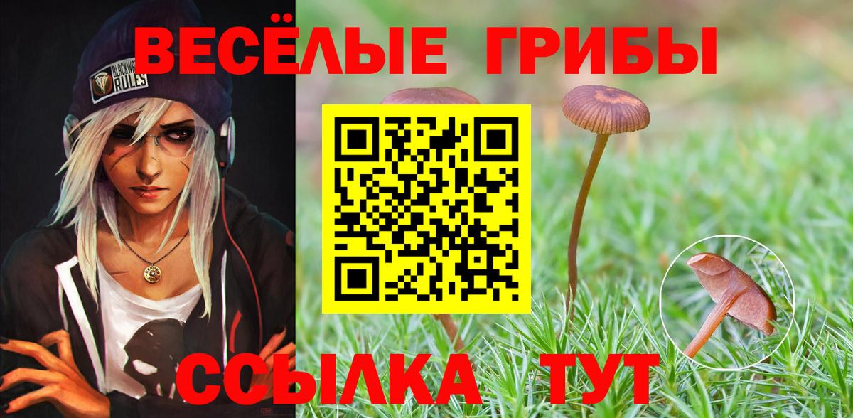 Котельники  Галлюциногенные грибы мицелий  Псилоцибиновые грибы MAGIC MUSHROOMS  Вход с VPN 